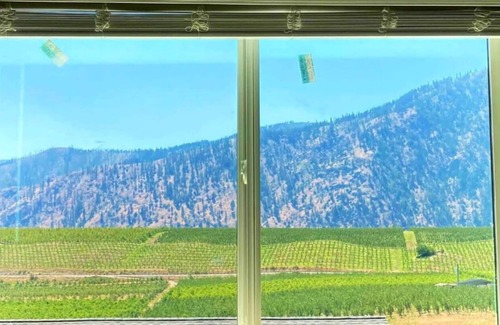 Manson Apartment | Lake Chelan/Manson Studio #1 w/valley & mtn views
