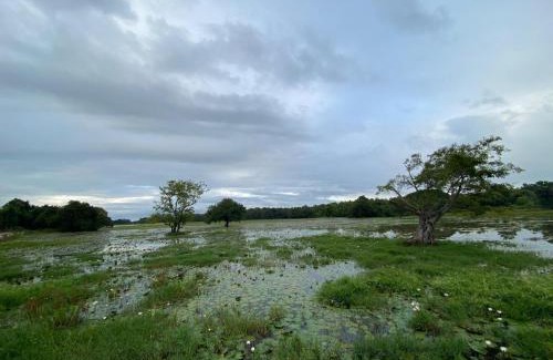Dambulla House | lake Edge Dambulla