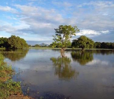 Dambulla House | lake Edge Dambulla