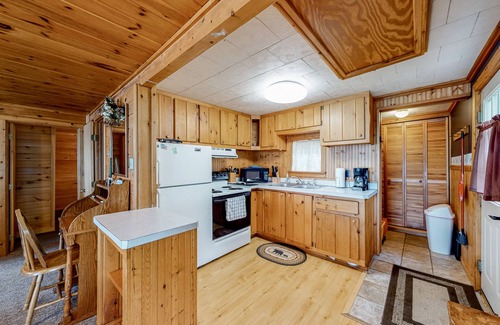 Greenville Cabin | Lake front home with privately shared dock for the homes in this complex