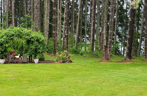 Dorena House | Lake front LAWN FLOOR of bi-level home.n bottom floor only. private entrance.