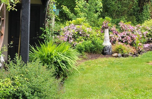 Dorena House | Lake front LAWN FLOOR of bi-level home.n bottom floor only. private entrance.