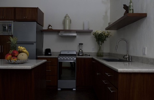 Ajijic Apartment | Lake Front