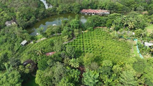 Kuruwita Hotel | Lake Serenity Resort & Spa