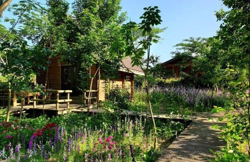 Dunavatu de Jos House | Lake Side - Lângă Lac