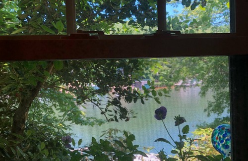 Lake Lure Cottage | LAKEFRONT - Bring Some Love to Lake Lure