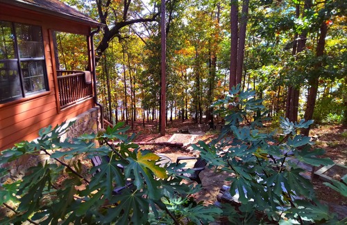 Tumbling Shoals House | Lakefront Cabin with swimming, fishing and boating feet away from privat deck