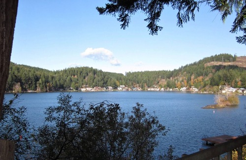 Olympia Cabin | Lakefront Cabin w/Dock Boat Launch Nearby Swim, Fish, Grill & Chill