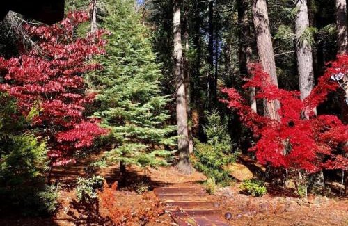 Nevada City House | Lakefront Chalet Nevada City