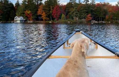 Bracebridge Cottage | Lakefront Cottage in Muskoka