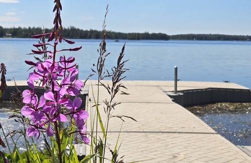 Wasilla Cottage | Lakefront Cottage with Sauna- #1 Arctic Grayling