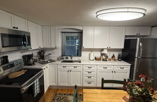 Coldwater Cottage | Lakefront Hidden Gem on Rose Lake! Cozy Cottage & Camper Spot with Private Docks