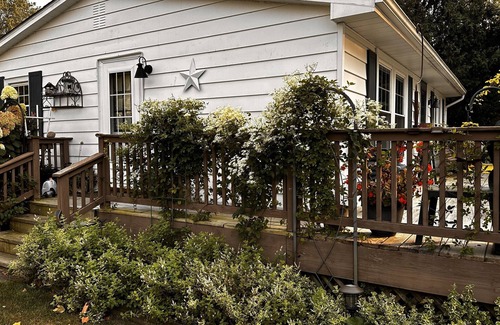 Coldwater Cottage | Lakefront Hidden Gem on Rose Lake! Cozy Cottage & Camper Spot with Private Docks