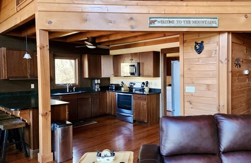 Butler Cabin | Lakefront Lullaby-Rustic cabin w/lake views, boatslip, hot tub & fiber internet