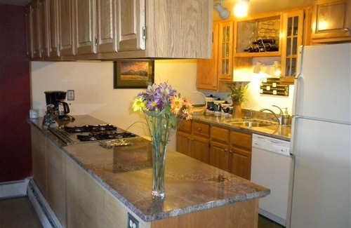 Dillon Condo | Lakefront Luxury Condo - Lake and Mountain Views, Smoke Free