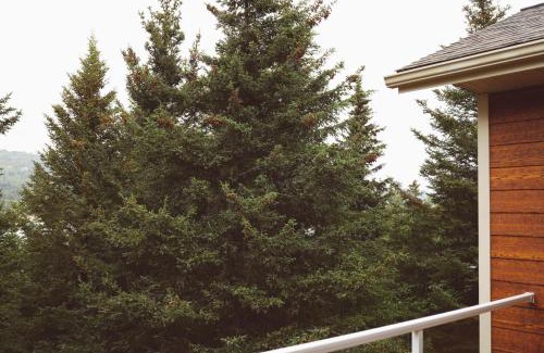 Homer Apartment | Lakeshore Lodging Apartment E