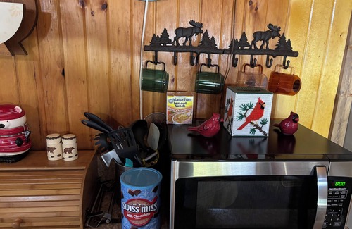 Prudenville Cabin | Lakeside Haven