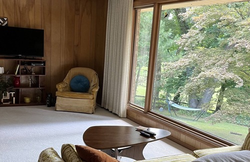 Battle Creek House | Lakeside Mid Century Modern Home