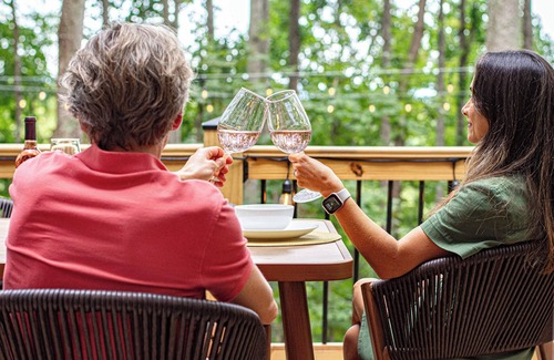 Candler House | Lamplighter House - Hot Tub, Firepit, Sauna & Games 15-min from Asheville, NC