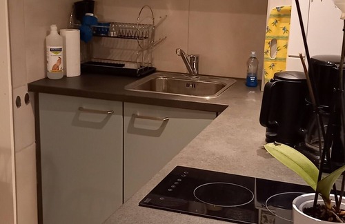 Colmar Centre Ville Apartment | "LANDBeautiful beamed apartment in the historic center of Colmar's "Little Venice".