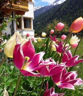 Neustift Im Stubaital Apartment | Landhaus Alpensonne