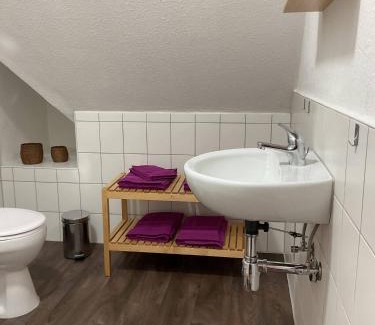 Baerenstein Apartment | Landhaus am Bärenstein Pano-Blick 2
