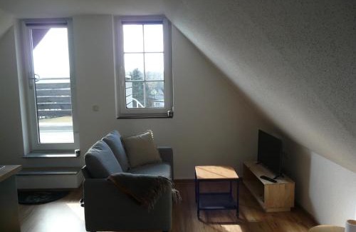 Baerenstein Apartment | Landhaus am Bärenstein Pano-Blick 2