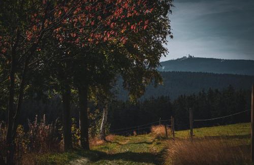 Baerenstein Apartment | Landhaus Bärenstein - Pano-Blick 1