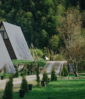 Likani Apartment | Landhaus Borjomi