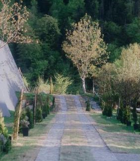 Likani Apartment | Landhaus Borjomi