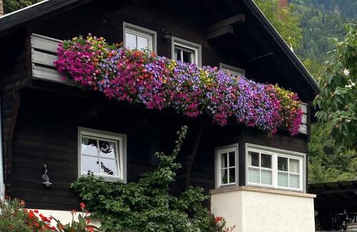 Oetz Apartment | Landhaus Edelweiss