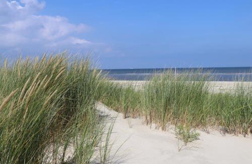 Wangerooge Apartment | Landhaus Lindenhof, Wohnung Meertied