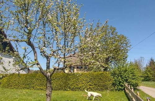 Klopein am Klopeiner See Apartment | Landhaus Nepo