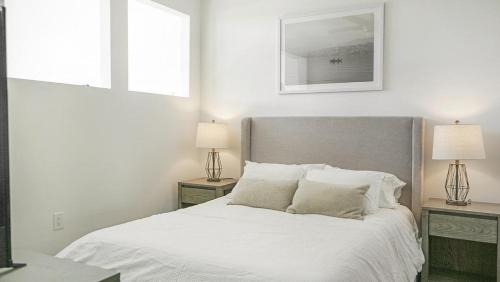 North Chesterfield Apartment | Landing Modern Apartment with Amazing Amenities (ID6945X50)