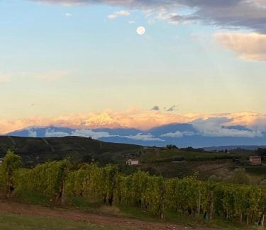 Mango Apartment | Langhe da cartolina