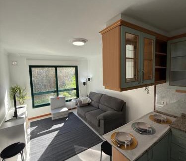 Dean Pequeno Apartment | Lar de Cubeliños