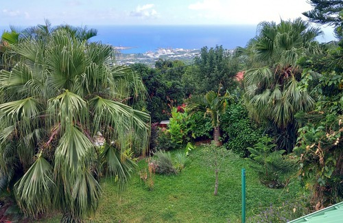 La Possession Apartment | Large 70m² T2 apartment opening onto a garden