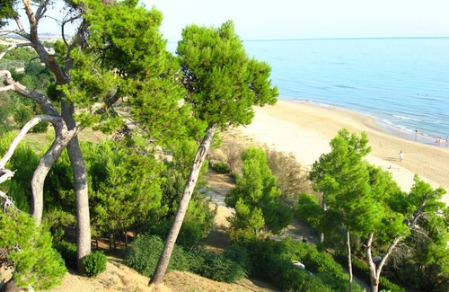 Montesilvano Apartment | Large apartment in Montesilvano Marina