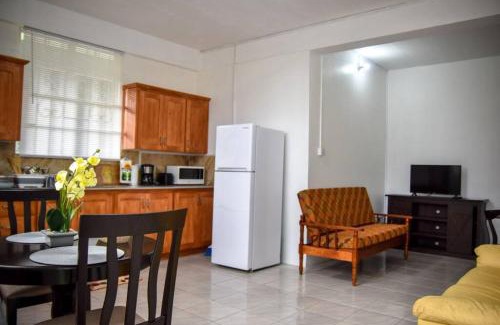 Castle Comfort Apartment | Large Comfortable Apartment #5 Roseau by The Green Castle