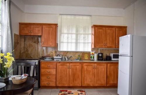 Castle Comfort Apartment | Large Comfortable Apartment #5 Roseau by The Green Castle