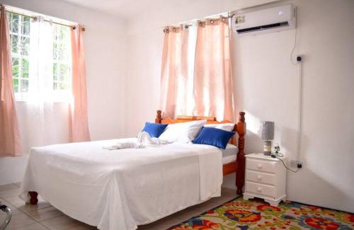 Castle Comfort Apartment | Large Comfortable Apartment #5 Roseau by The Green Castle