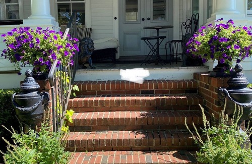 Spring Lake House | Large Spring Lake 6 BR Home!