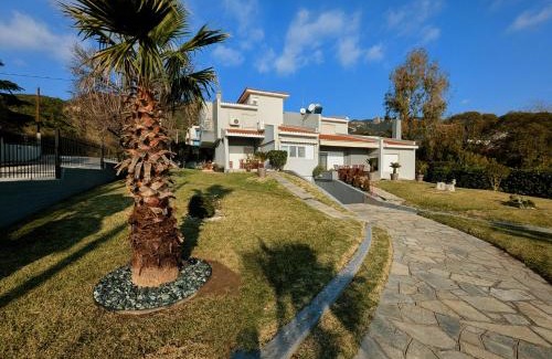 Palaio Tsifliki Villa | Las Palmas