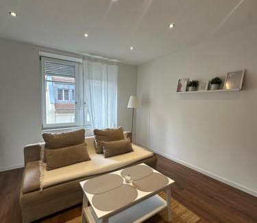 Mulhouse Apartment | # Le 3 # Joli appartement T3 Mulhouse centre, Neuf, calme et tout équipé