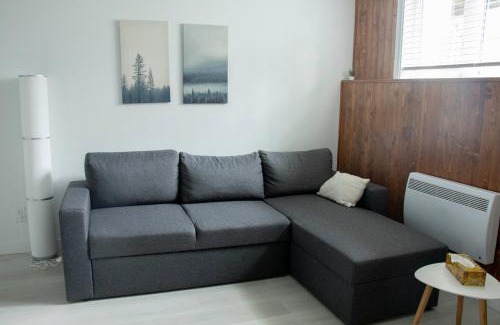 Beaupre Apartment | Le 4 Saisons 3