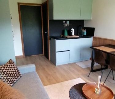 Bourg-Saint-Maurice Apartment | LE 400 à BSM