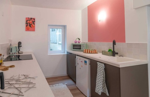 Castres Apartment | Le Baron - hyper center - air conditioning/closed garage/terrace
