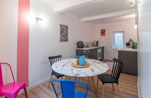 Castres Apartment | Le Baron - hyper center - air conditioning/closed garage/terrace