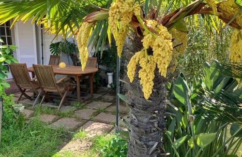 Ex Campo d'Aviazione Apartment | Le Bodole