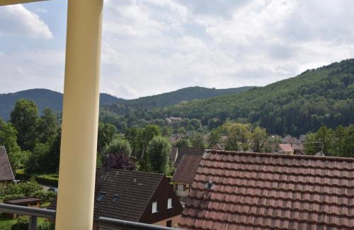 Kaysersberg-Vignoble Apartment | Le brin d'osier